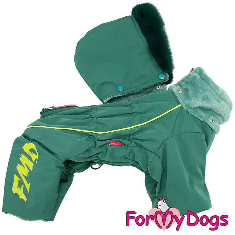 Green Lantern Winter Suit For Boys ARRIVING SOON